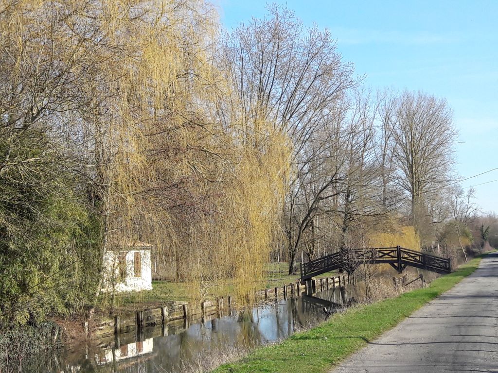 Halage entre le Mazeau et Coulon