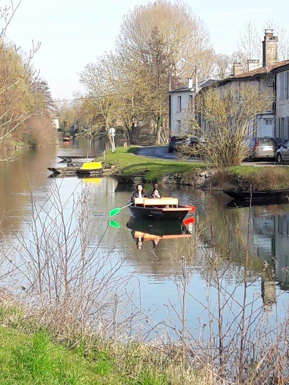 Balade en barque à Coulon