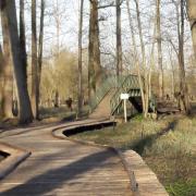 Sentier suspendu sur le marais